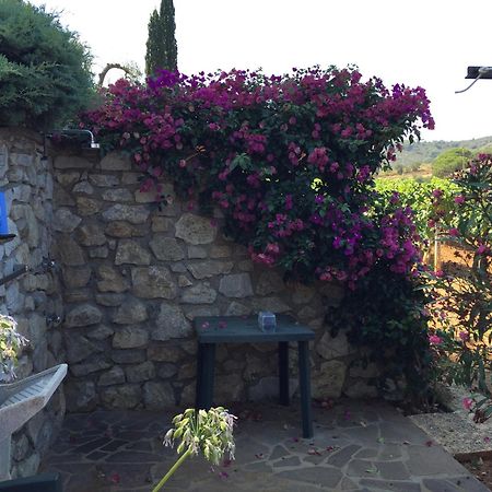 Studio-Appartment In Landhaus Mit Meerblick Porto Azzurro Kültér fotó
