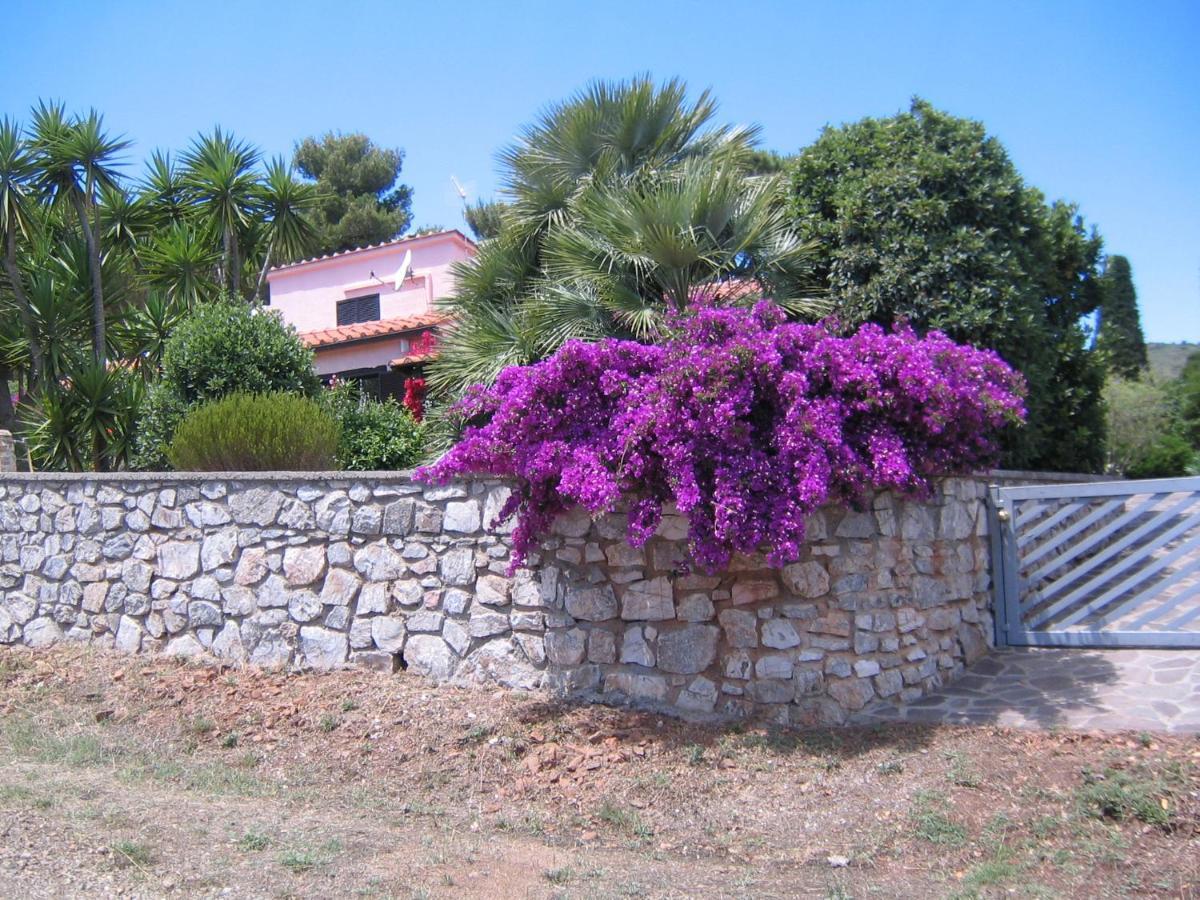 Studio-Appartment In Landhaus Mit Meerblick Porto Azzurro Kültér fotó