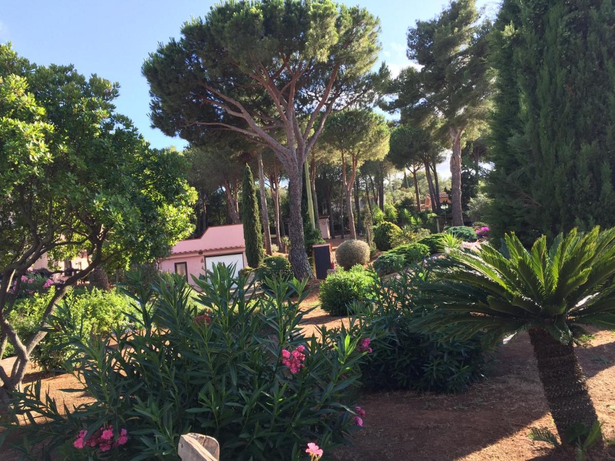 Studio-Appartment In Landhaus Mit Meerblick Porto Azzurro Kültér fotó